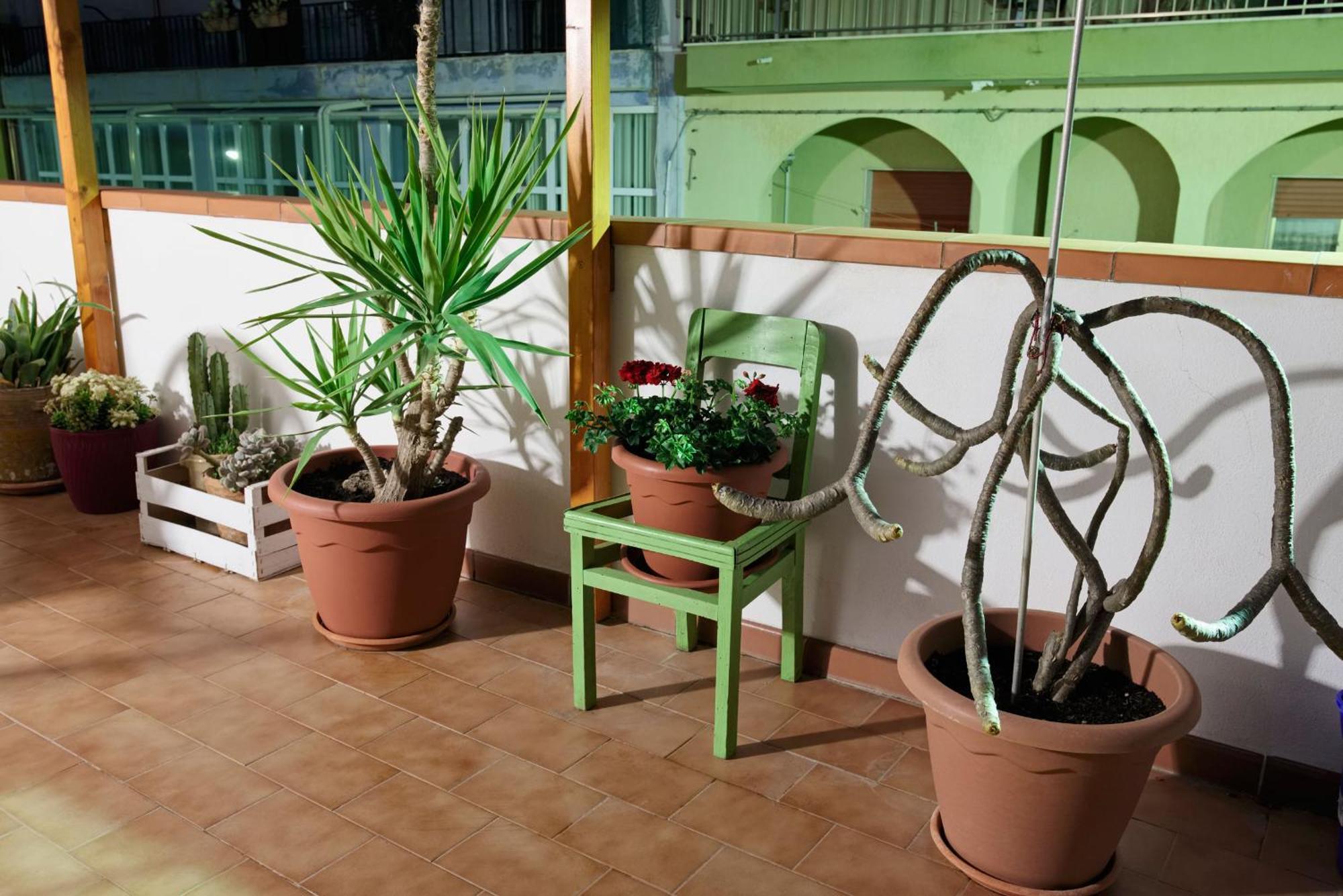 Le Terrazze Di Angela Apartment Marina di Ragusa Exterior foto
