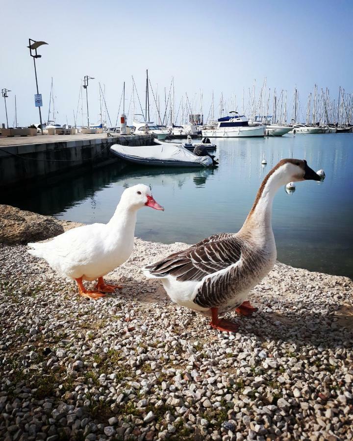 Le Terrazze Di Angela Apartment Marina di Ragusa Exterior foto